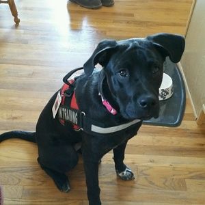 Meet your Posher, Steven